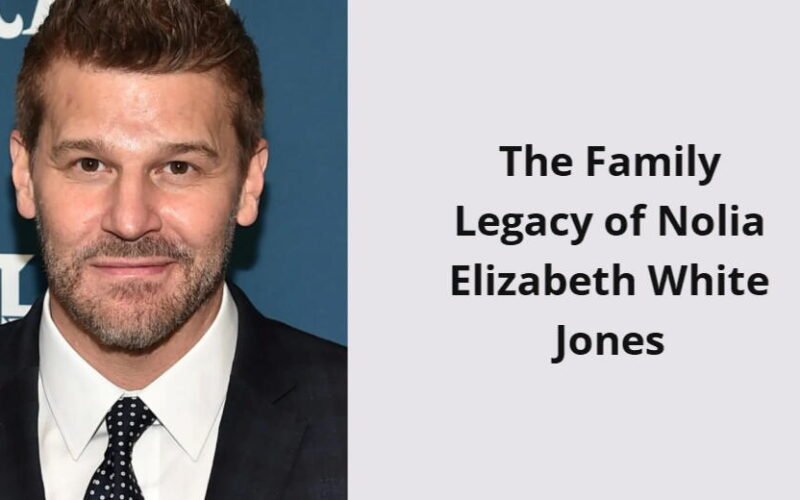 the family legacy of nolia elizabeth white jones i1550 356